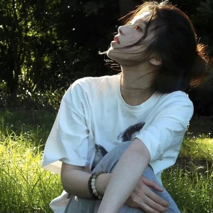 梦墙